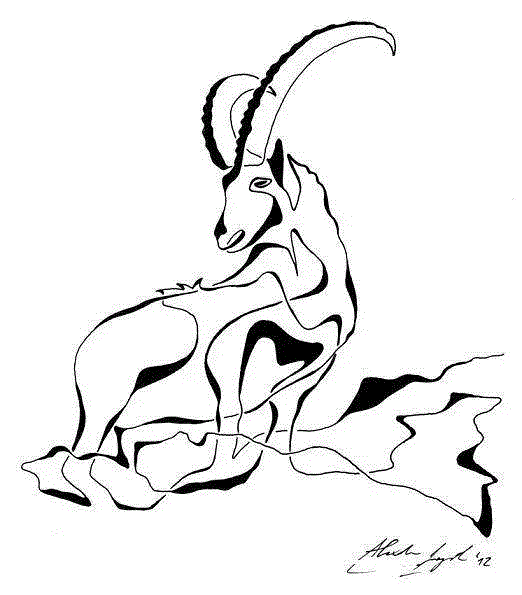 一笔画丨并没有想象的那么简单~,笔画,素描,开头,结尾,法国,工作室,DFT,动画,众人,以上