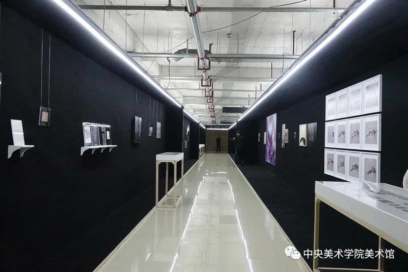 “2018首届北镇国际摄影大展”于9月28日隆重开幕,北镇,中央美术学院美术馆,私密性,双年展,北京国际,公共性,王璜生,开幕式,东北,媒介