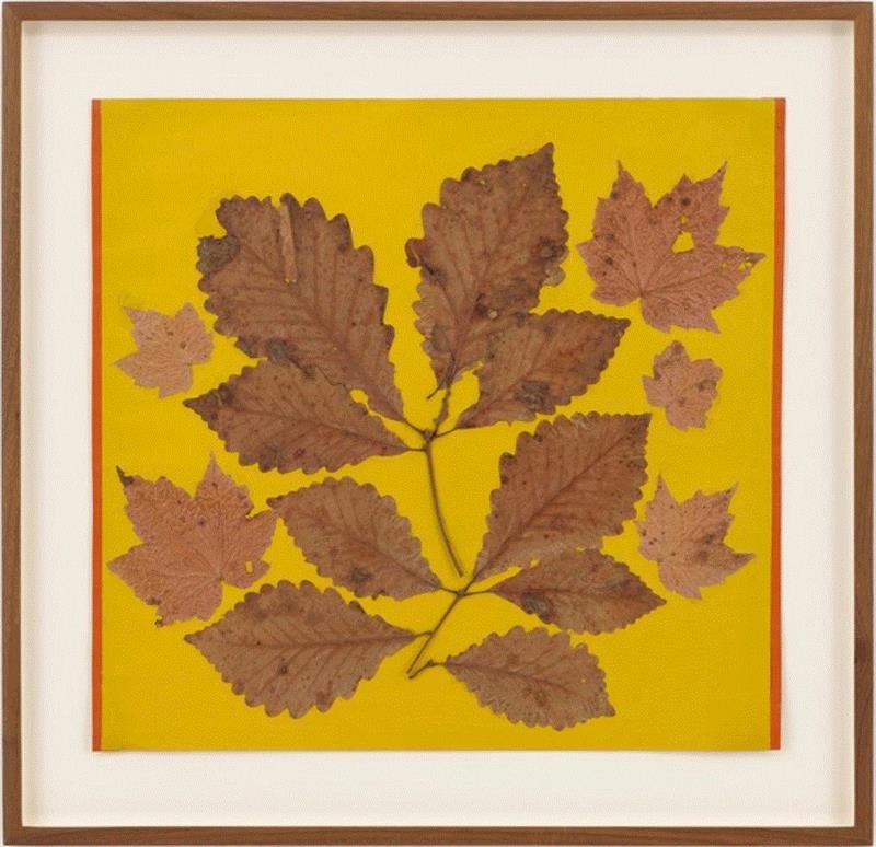 约瑟夫·阿尔伯斯 Josef Albers,卓纳画廊参展伦敦弗里兹大师展 | 展位号F11,卓纳,伦敦,弗里兹,展位,大师展,阿尔伯斯,约瑟夫,安妮,阿萨瓦,草间弥生