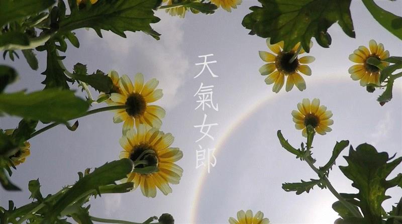  劳丽丽，《天气女郎—Halo Daisy》，单频道录像，彩色、粤语、英文字幕，6分33秒