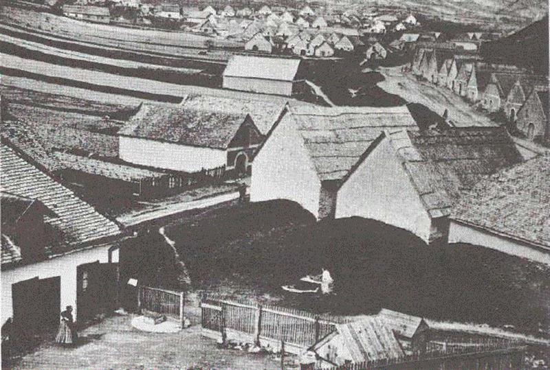 萨考斯基：安德烈·柯特兹 | MoMA馆藏摄影集,柯特兹,安德烈,萨考斯基,MoMA馆藏,摄影集,摄影师,相机,匈牙利,巴黎,尤金