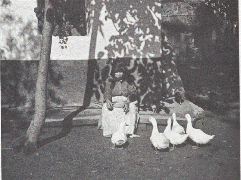 萨考斯基：安德烈·柯特兹 | MoMA馆藏摄影集,柯特兹,安德烈,萨考斯基,MoMA馆藏,摄影集,摄影师,相机,匈牙利,巴黎,尤金