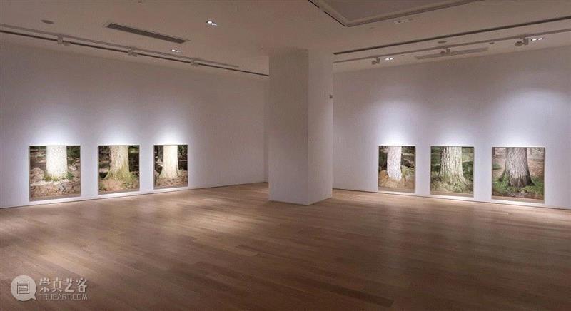 唐人曼谷 | 10月4日再现纳提?尤塔瑞个展：胡梭的无题诗,胡梭,尤塔瑞,曼谷,无题诗,唐人,油画,绘画,Thailand,当代唐人艺术中心,枫丹白露森林