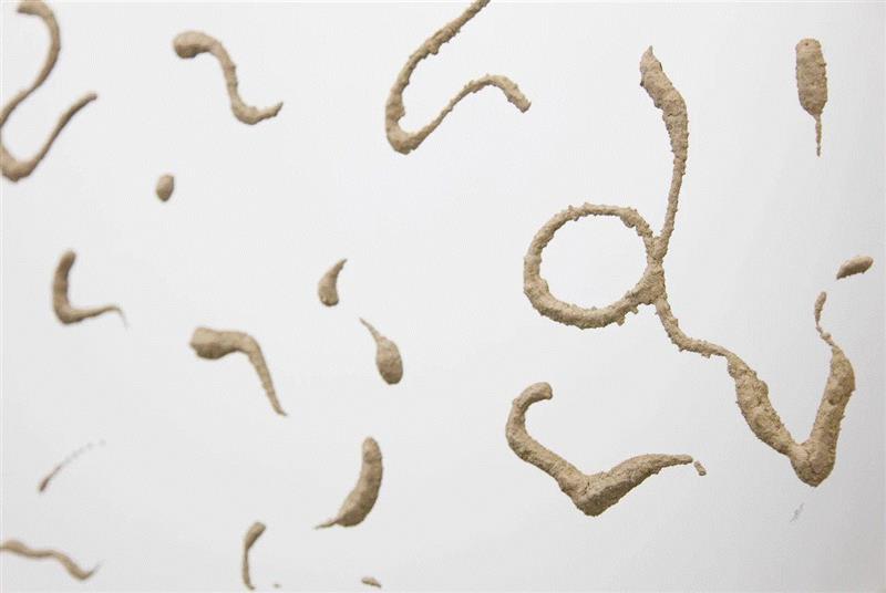 正在展出｜杨心广：坏土  ( Yang Xinguang: Bad Soil ),杨心广,Bad,Soil,Oct,北京公社,物质,iron,不锈钢,中央美术学院美术馆,假期