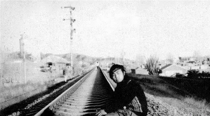 詩，死了。,海子,诗人,诗歌,太阳,文学,西川,今夜,大海,北大,青年