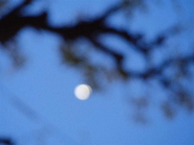 詩，死了。,海子,诗人,诗歌,太阳,文学,西川,今夜,大海,北大,青年
