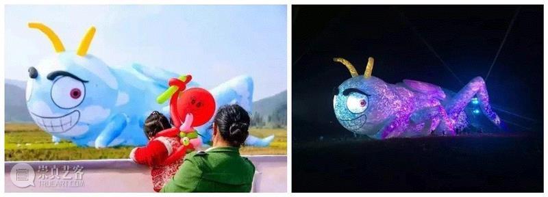 曹林：嚎叫一声惊世人,曹林,新媒体,这个世界,隆里,艺术节,蚂蚱,装置,视频,金斯伯格,大家伙