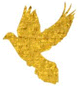 【公告】十一黄金周开放时间,公告,十一黄金周,震旦博物馆,交通,休馆,全馆,展期,地点,主办单位,票价