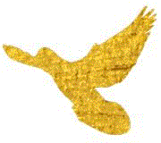 【公告】十一黄金周开放时间,公告,十一黄金周,震旦博物馆,交通,休馆,全馆,展期,地点,主办单位,票价