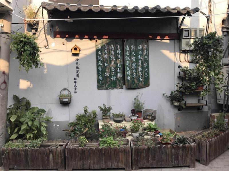 白塔寺再生计划暖城行动2018开幕！以文创呈现胡同新景象,白塔寺,暖城,胡同,文创,景象,居民,街区,老城,四合院,成果