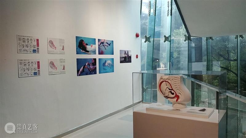 Ai Hasegawa，《我想生一只海豚 I Wanna Deliver a Dolphin》，20