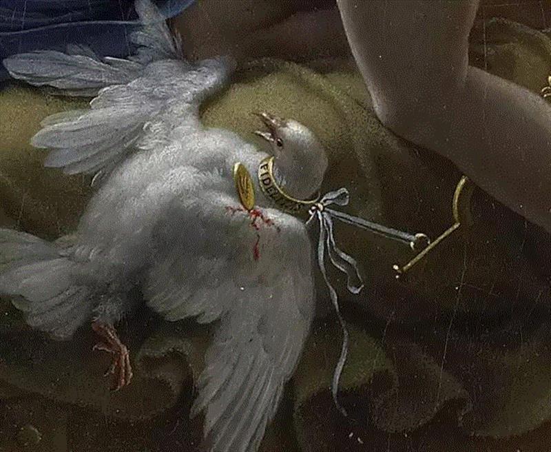 看透西方名画背后的真相,名画,背后,兰格,拿破仑,男子,小姐,花瓣,婴儿,皇冠,视线