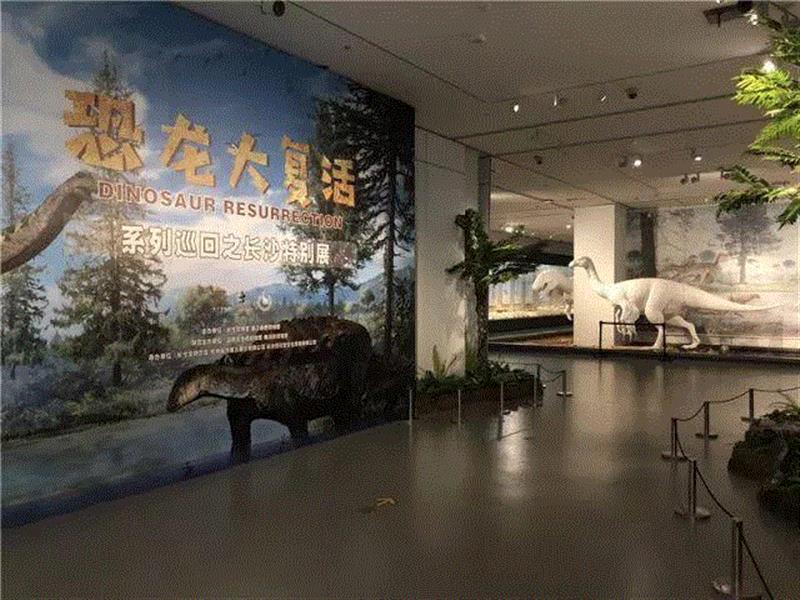 【全国其他】国庆期间有什么好看的展览?,文物,书画,古代,民族,人物,安徽博物院,绘画,养心殿,服饰,师生