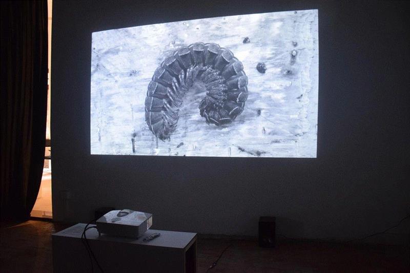 时间流：Felipe Esparza个展,活动邀请|Action,Action,影像,藏家,space,张莉娸,ACTION,装置,Esparza,真实性,昊美术馆