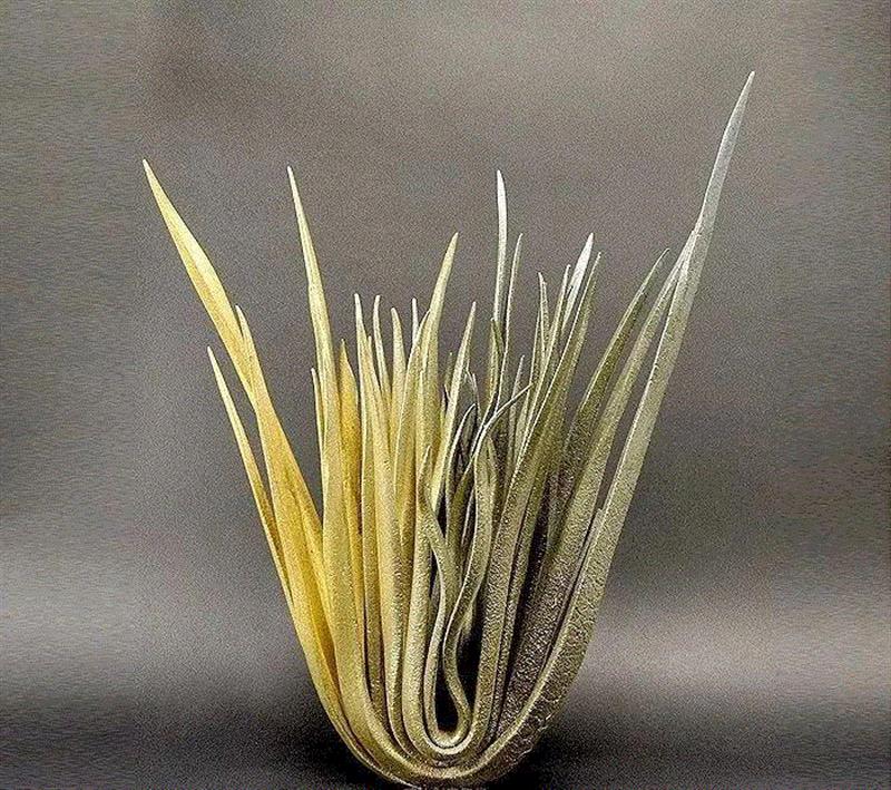 图赏丨道法自然——西班牙陶瓷雕塑家作品,陶瓷,西班牙,雕塑,Alberto,琅沐,创意,微信号,lungmo,雕塑家,Bustos