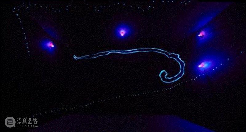 非影亦非像,非影,装置,霓虹灯,绿色,乌托邦,Fontana,曲线,屋子,地毯,新媒体