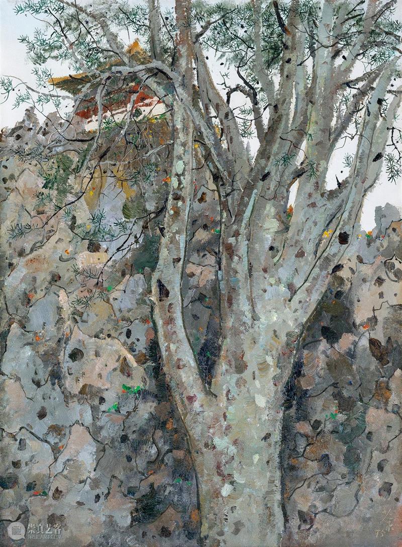 吴冠中 故宫白皮松,华郦藏臻：亚洲重要私人收藏特展,亚洲,华郦藏臻,油画,嘉德,气韵,绘画,华郦馆,主人,其中,臻品