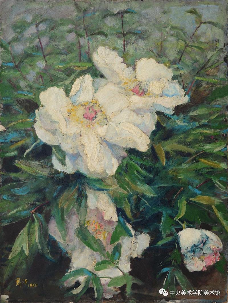 戴泽 《芍药》 木板油画  53×40cm 1960,“中央美术学院百年校庆特展：耕耘者——戴泽油画艺术展”即将启幕 | CAFAM展览预告,戴泽,油画,中央美术学院,校庆,耕耘者,艺术展,CAFAM,预告,徐悲鸿,中央美术学院美术馆