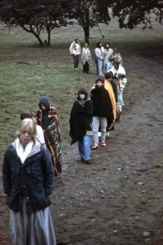 作为神秘主义者的乔布斯,乔布斯,主义者,弗里德兰,农庄,LSD,图源,罗伯特,苹果,附近,果园