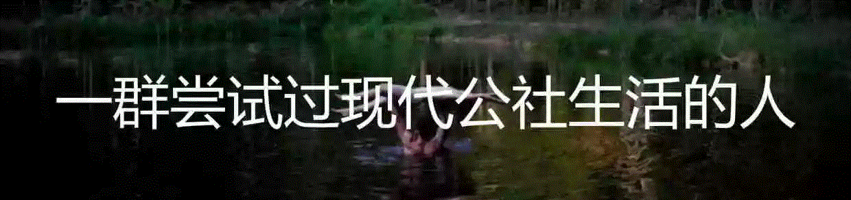 作为神秘主义者的乔布斯,乔布斯,主义者,弗里德兰,农庄,LSD,图源,罗伯特,苹果,附近,果园