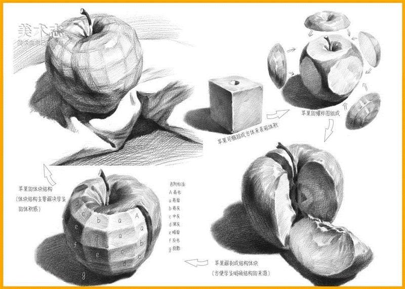 常见水果的作画步骤及结构全剖析！,步骤,苹果,形体,梨子,明暗交界线,西红柿,蔬菜,球体,香蕉,叶子