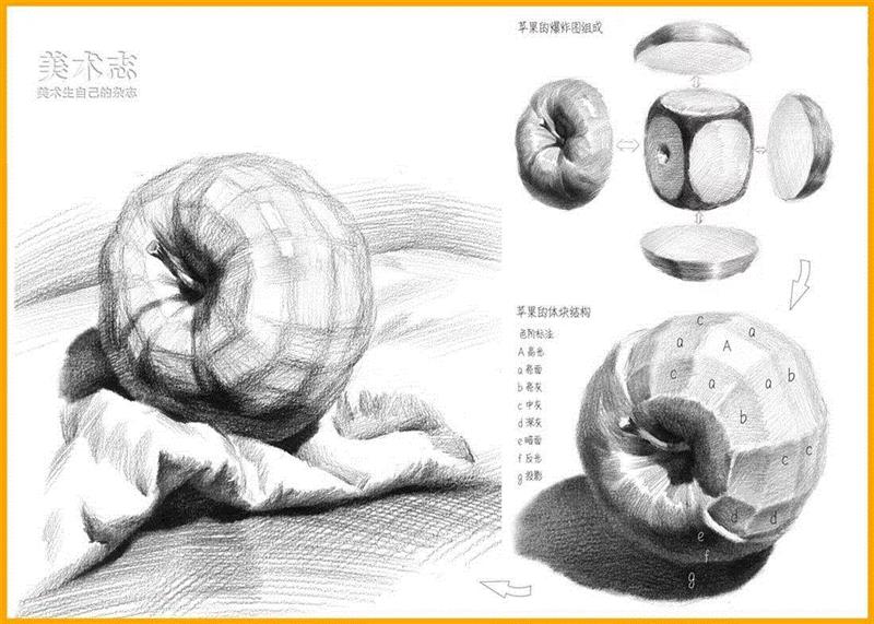 常见水果的作画步骤及结构全剖析！,步骤,苹果,形体,梨子,明暗交界线,西红柿,蔬菜,球体,香蕉,叶子