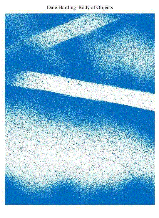 戴尔·哈丁的作品喷绘细节，利洁时蓝加强了图像中的颗粒感，它们可以与岩石粗砾对接,当洁厕蓝成为一种颜料，卡那封峡谷的壁画将经历怎样的形式转变？ | documenta 14,壁画,卡那封峡谷,颜料,洁厕蓝,documenta,哈丁,戴尔,利洁时,澳大利亚,土著