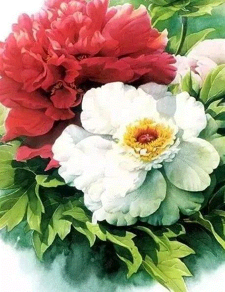 79岁爷爷40年画2000多幅花，登上《朗读者》，被称中国植物画第一人！,植物,朗读者,爷爷,年画,第一人,曾孝濂,一辈子,植物志,西双版纳,鸟类