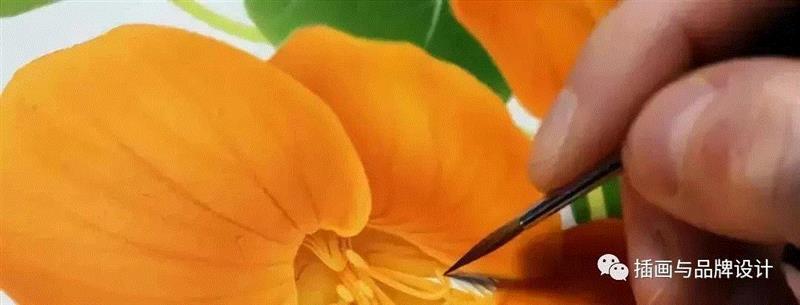 79岁爷爷40年画2000多幅花，登上《朗读者》，被称中国植物画第一人！,植物,朗读者,爷爷,年画,第一人,曾孝濂,一辈子,植物志,西双版纳,鸟类