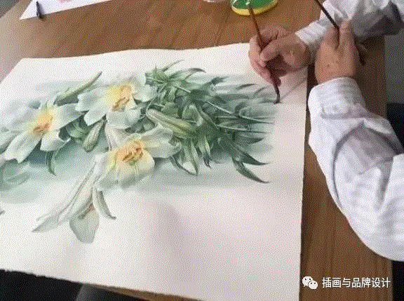 79岁爷爷40年画2000多幅花，登上《朗读者》，被称中国植物画第一人！,植物,朗读者,爷爷,年画,第一人,曾孝濂,一辈子,植物志,西双版纳,鸟类