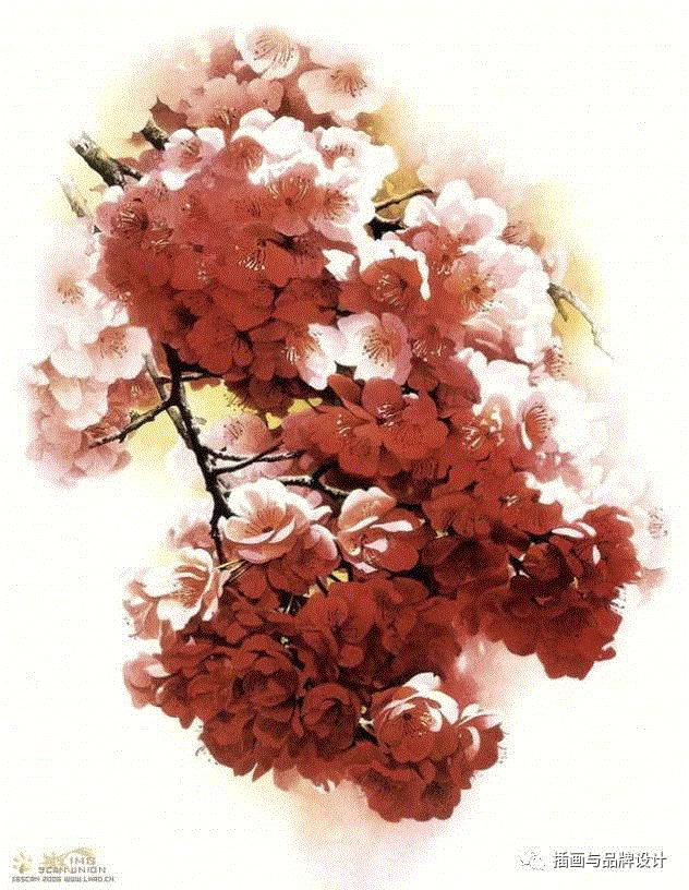 79岁爷爷40年画2000多幅花，登上《朗读者》，被称中国植物画第一人！,植物,朗读者,爷爷,年画,第一人,曾孝濂,一辈子,植物志,西双版纳,鸟类