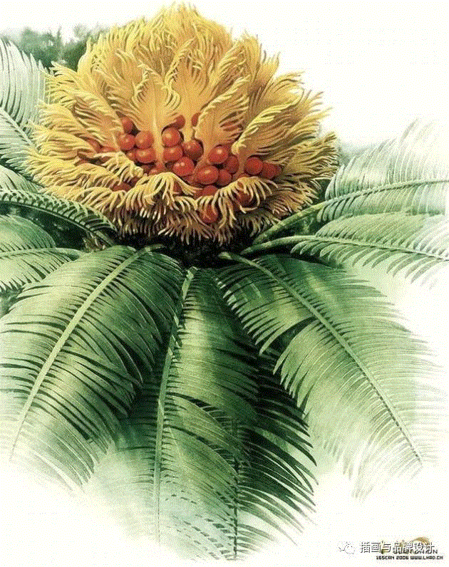 79岁爷爷40年画2000多幅花，登上《朗读者》，被称中国植物画第一人！,植物,朗读者,爷爷,年画,第一人,曾孝濂,一辈子,植物志,西双版纳,鸟类