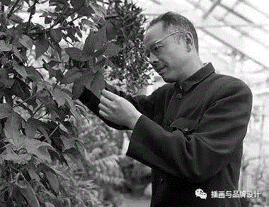 79岁爷爷40年画2000多幅花，登上《朗读者》，被称中国植物画第一人！,植物,朗读者,爷爷,年画,第一人,曾孝濂,一辈子,植物志,西双版纳,鸟类