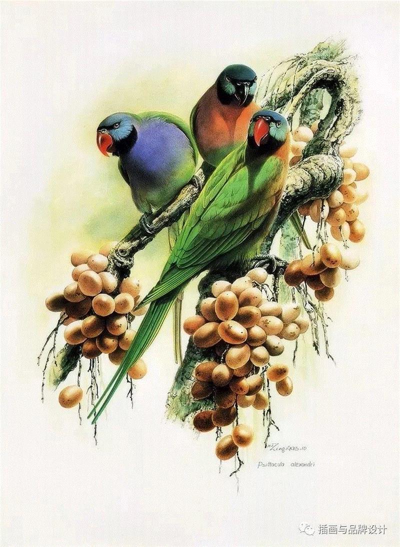79岁爷爷40年画2000多幅花，登上《朗读者》，被称中国植物画第一人！,植物,朗读者,爷爷,年画,第一人,曾孝濂,一辈子,植物志,西双版纳,鸟类