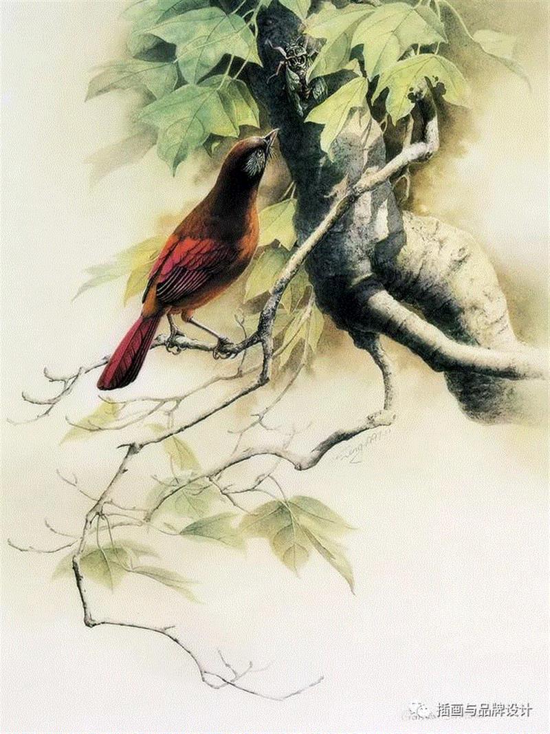 79岁爷爷40年画2000多幅花，登上《朗读者》，被称中国植物画第一人！,植物,朗读者,爷爷,年画,第一人,曾孝濂,一辈子,植物志,西双版纳,鸟类