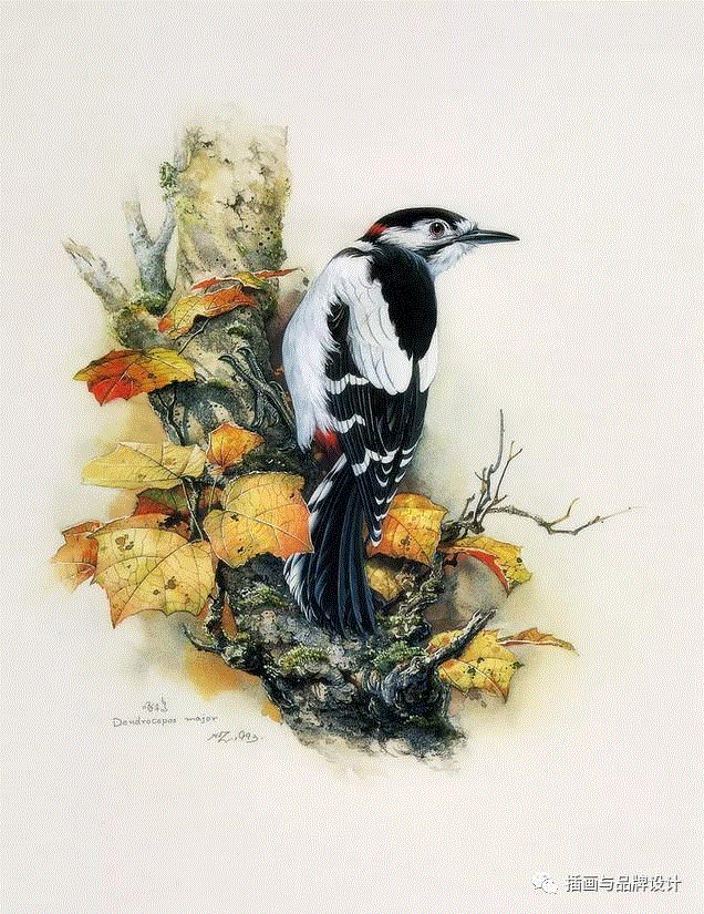 79岁爷爷40年画2000多幅花，登上《朗读者》，被称中国植物画第一人！,植物,朗读者,爷爷,年画,第一人,曾孝濂,一辈子,植物志,西双版纳,鸟类