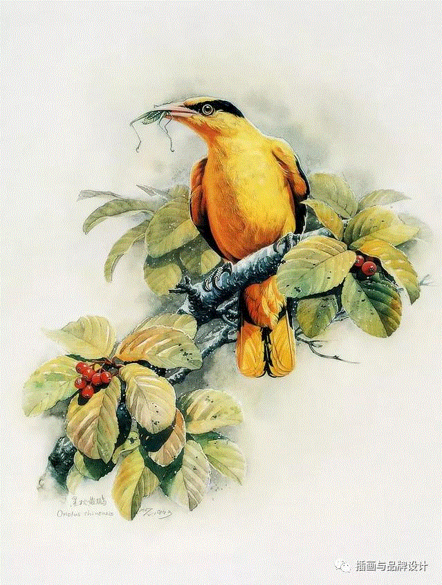 79岁爷爷40年画2000多幅花，登上《朗读者》，被称中国植物画第一人！,植物,朗读者,爷爷,年画,第一人,曾孝濂,一辈子,植物志,西双版纳,鸟类