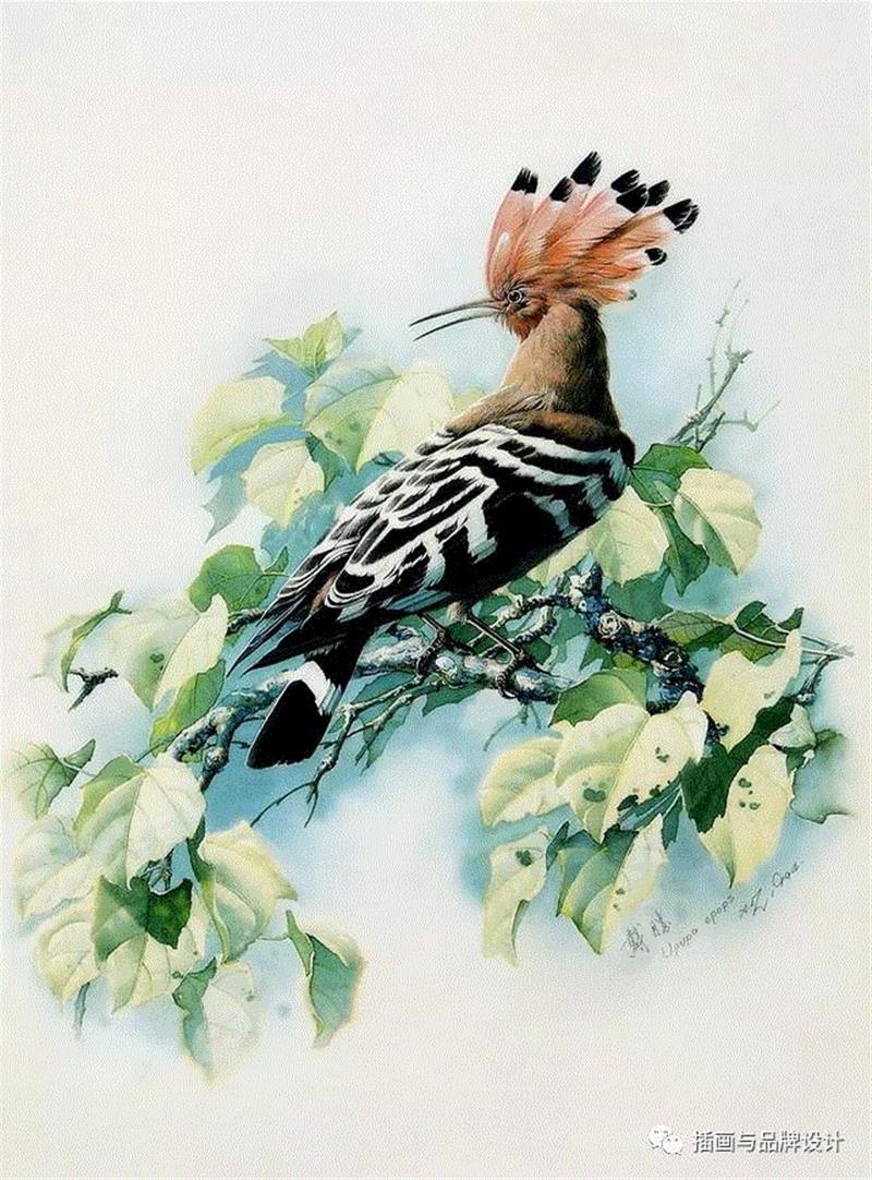79岁爷爷40年画2000多幅花，登上《朗读者》，被称中国植物画第一人！,植物,朗读者,爷爷,年画,第一人,曾孝濂,一辈子,植物志,西双版纳,鸟类