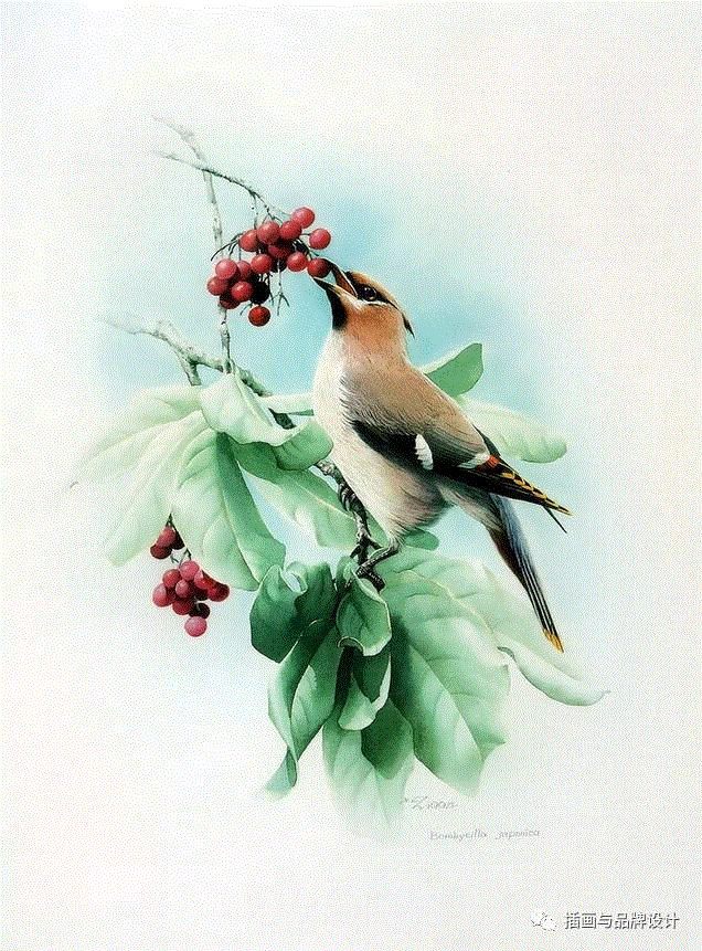 79岁爷爷40年画2000多幅花，登上《朗读者》，被称中国植物画第一人！,植物,朗读者,爷爷,年画,第一人,曾孝濂,一辈子,植物志,西双版纳,鸟类