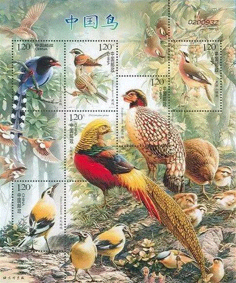 79岁爷爷40年画2000多幅花，登上《朗读者》，被称中国植物画第一人！,植物,朗读者,爷爷,年画,第一人,曾孝濂,一辈子,植物志,西双版纳,鸟类