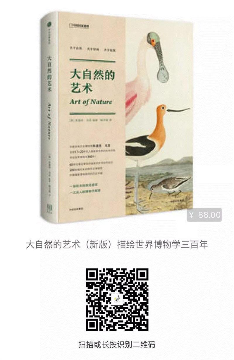 79岁爷爷40年画2000多幅花，登上《朗读者》，被称中国植物画第一人！,植物,朗读者,爷爷,年画,第一人,曾孝濂,一辈子,植物志,西双版纳,鸟类