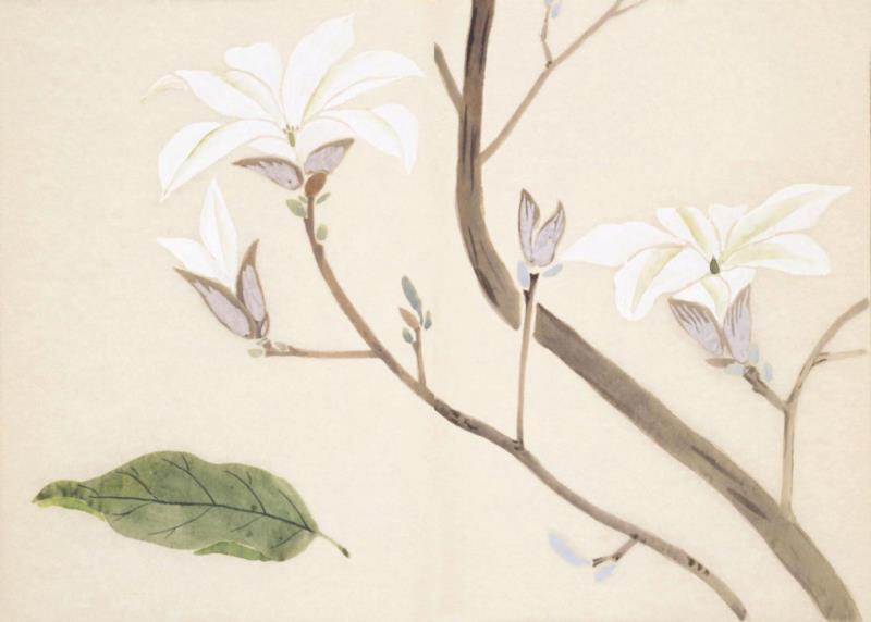 赠书 |  生生不息：《本草》里的草木果蔬谷,本草,草木,果蔬,植物,日本,李时珍,本草纲目,芍药,连翘,花语