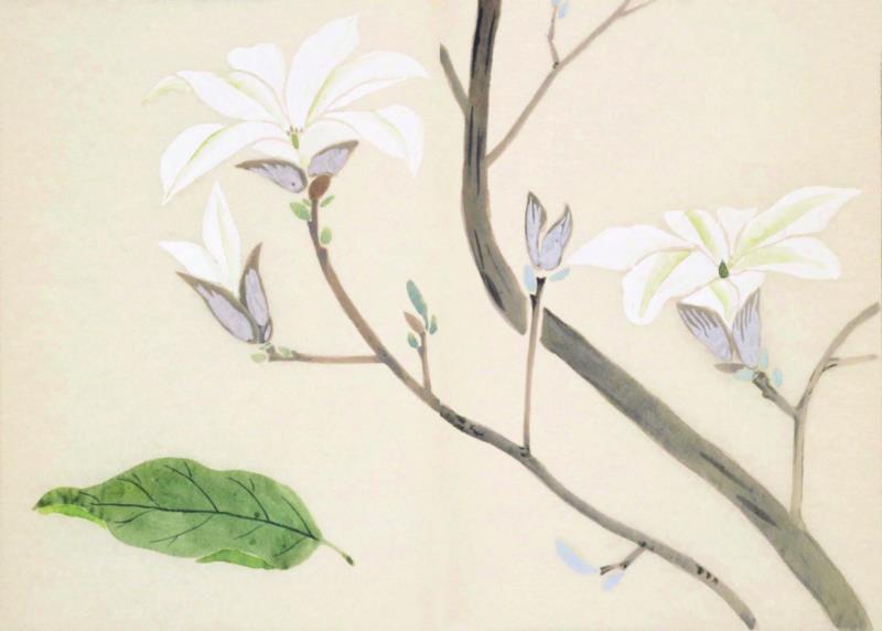 赠书 |  生生不息：《本草》里的草木果蔬谷,本草,草木,果蔬,植物,日本,李时珍,本草纲目,芍药,连翘,花语