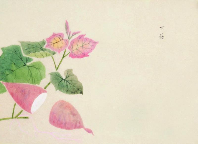 赠书 |  生生不息：《本草》里的草木果蔬谷,本草,草木,果蔬,植物,日本,李时珍,本草纲目,芍药,连翘,花语