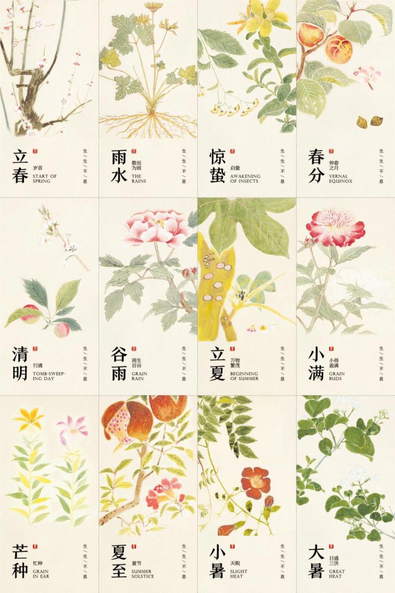 赠书 |  生生不息：《本草》里的草木果蔬谷,本草,草木,果蔬,植物,日本,李时珍,本草纲目,芍药,连翘,花语