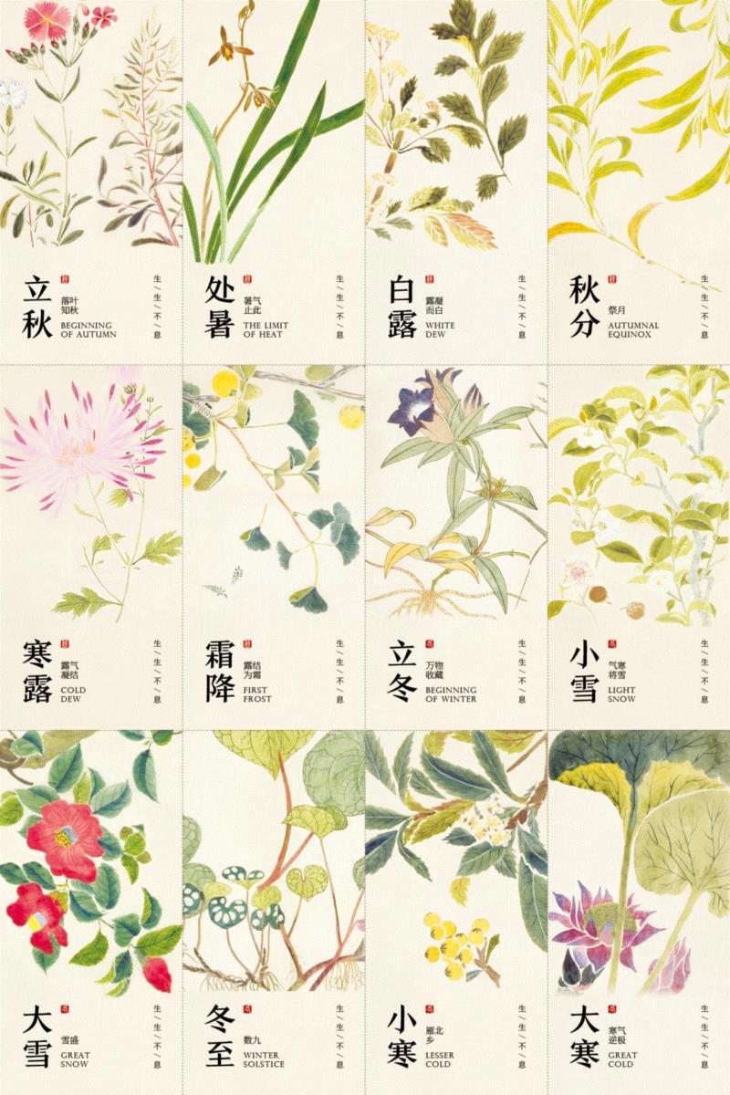 赠书 |  生生不息：《本草》里的草木果蔬谷,本草,草木,果蔬,植物,日本,李时珍,本草纲目,芍药,连翘,花语