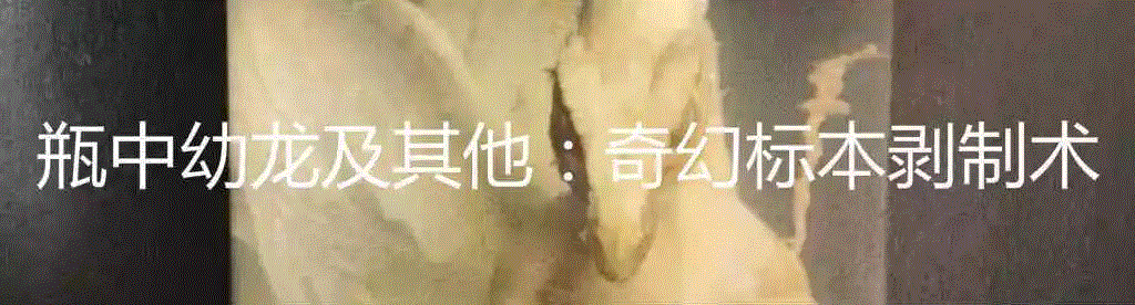 可汗的奇幻饮酒喷泉,可汗,喷泉,蒙古,威廉,纪尧姆,蒙哥,酒水,天使,修士,蒙古人