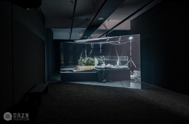 渡边玛雅&nbsp;|&nbsp;Maya&nbsp;Watanabe,SHM专访刘钢 | 这个灯光节策展人！这个严肃的展览！,策展人,灯光,刘钢,SHM,乌镇,冯立,青年,冯立杜,杜曦云,国外