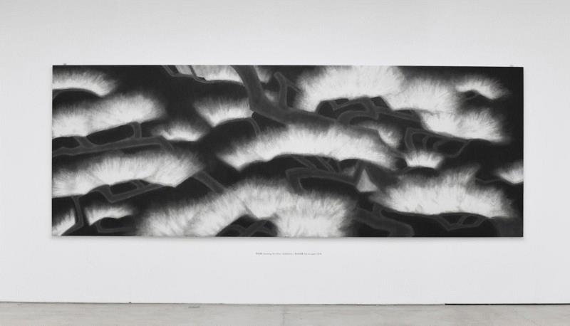 《唯见松》Listening the pines,展览现场 | 黄丹：生,黄丹,三远,宏观,之下,pines,松咏,潭影,Explore,虚空藏,览物