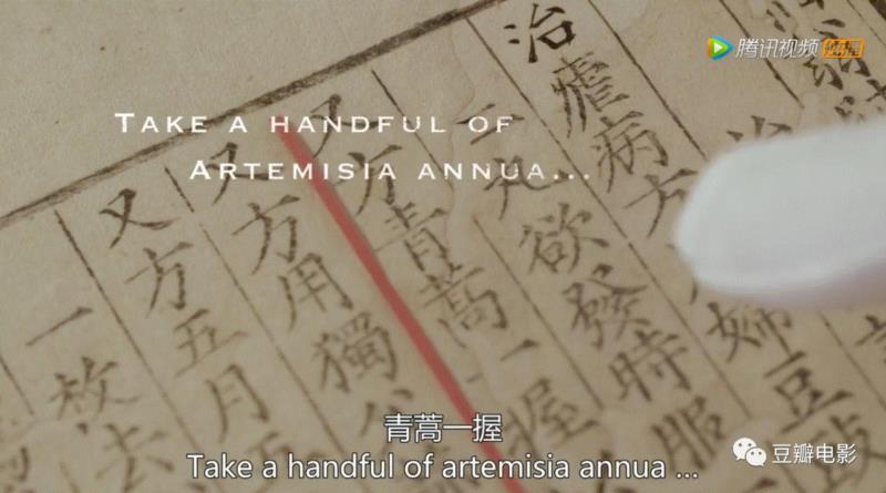 BBC拍的顶级偶像,豆瓣9.3都给低了,偶像,BBC,豆瓣,图灵,科学家,爱因斯坦,居里夫人,屠呦呦,疟疾,原子弹